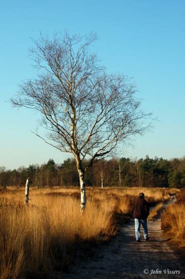 101.jpg 
373 x 560 compressed image 
(56,722 bytes)