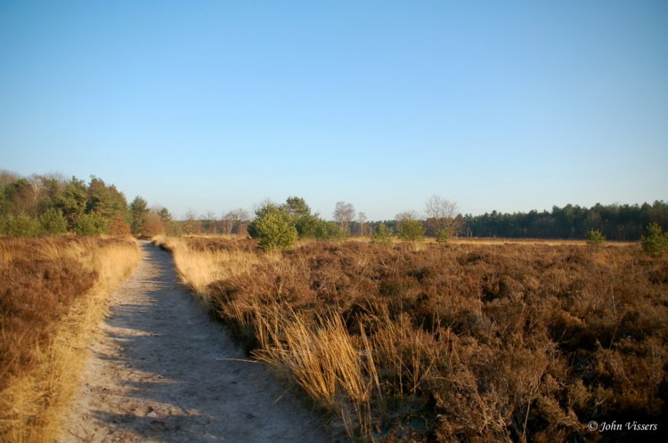 110.jpg 
750 x 498 compressed image 
(78,599 bytes)