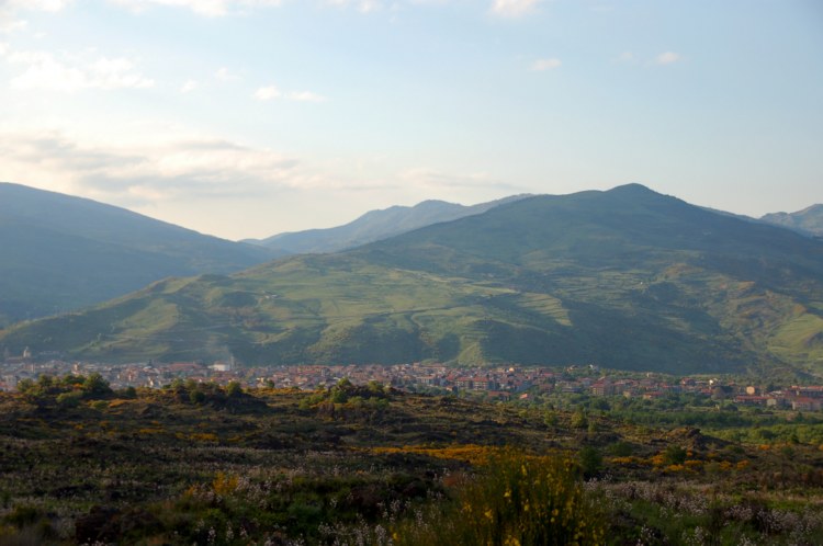 118.jpg 
750 x 498 compressed image 
(65,520 bytes)