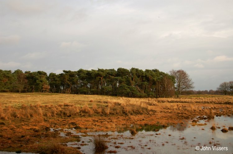 104.jpg 
750 x 498 compressed image 
(64,870 bytes)