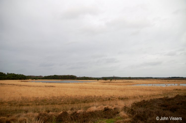 113.jpg 
750 x 498 compressed image 
(43,316 bytes)
