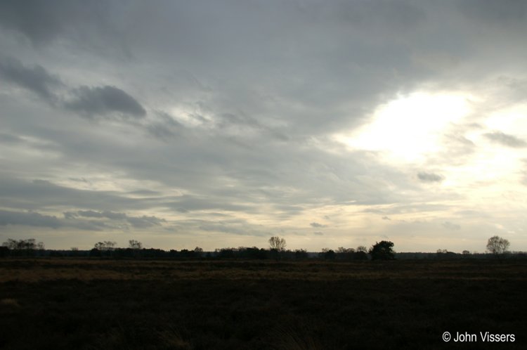 115.jpg 
750 x 498 compressed image 
(34,588 bytes)
