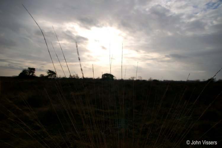 116.jpg 
750 x 498 compressed image 
(43,112 bytes)