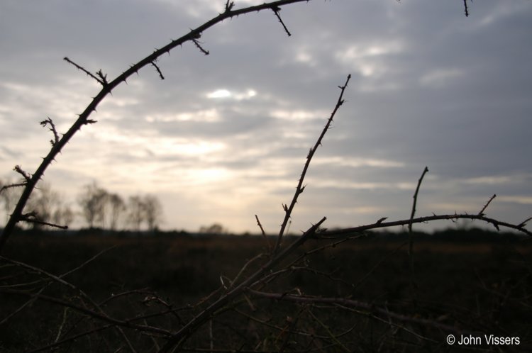120.jpg 
750 x 498 compressed image 
(40,787 bytes)