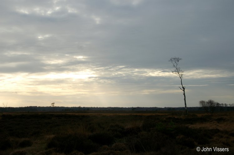 121.jpg 
750 x 498 compressed image 
(36,973 bytes)