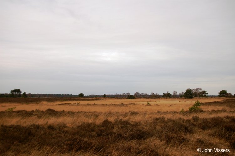 124.jpg 
750 x 498 compressed image 
(48,520 bytes)