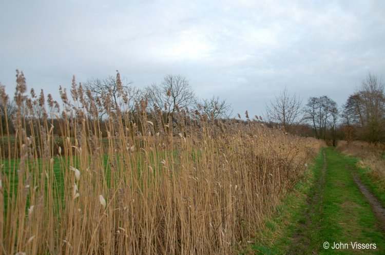 129.jpg 
750 x 498 compressed image 
(80,684 bytes)