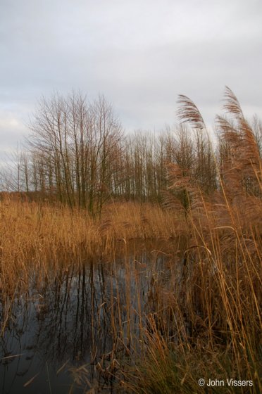 133.jpg 
372 x 560 compressed image 
(46,985 bytes)