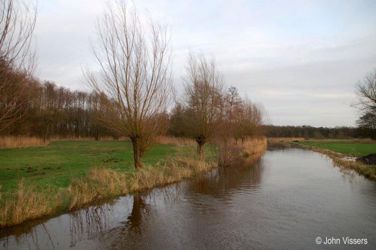 134.jpg 
750 x 498 compressed image 
(70,890 bytes)