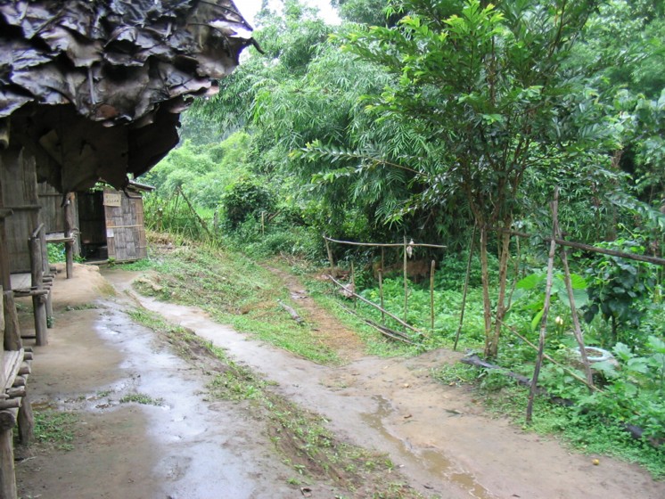 temp08.jpg 
746 x 560 compressed image 
(173,991 bytes)