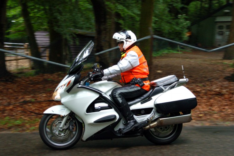111.jpg 
750 x 500 compressed image 
(87,533 bytes)