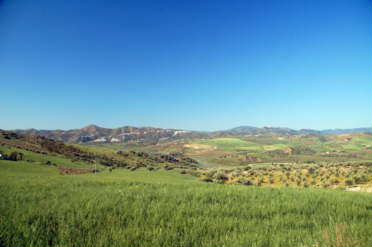 105.jpg 
750 x 498 compressed image 
(87,780 bytes)