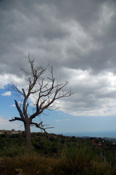113.jpg 
372 x 560 compressed image 
(37,589 bytes)