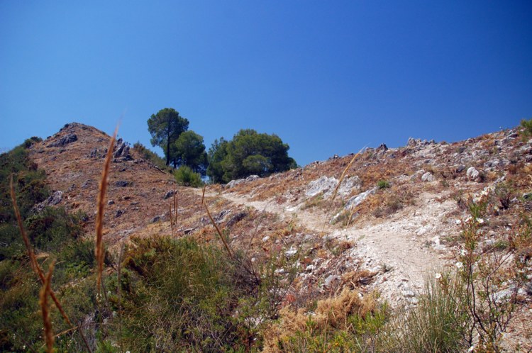 152.jpg 
750 x 498 compressed image 
(112,445 bytes)